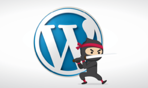 Ferramentas Ninja Wordpress 300x178 - Ferramentas Ninja - Pacote Plugins Hot Links Plus e Fiat Linx para Marketing Digital